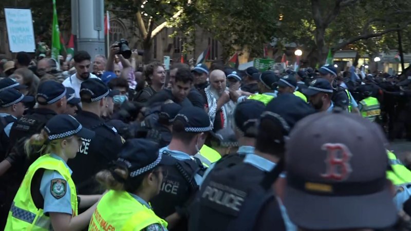 Tensions boil over a Pro-Palestine protesters clash with police
