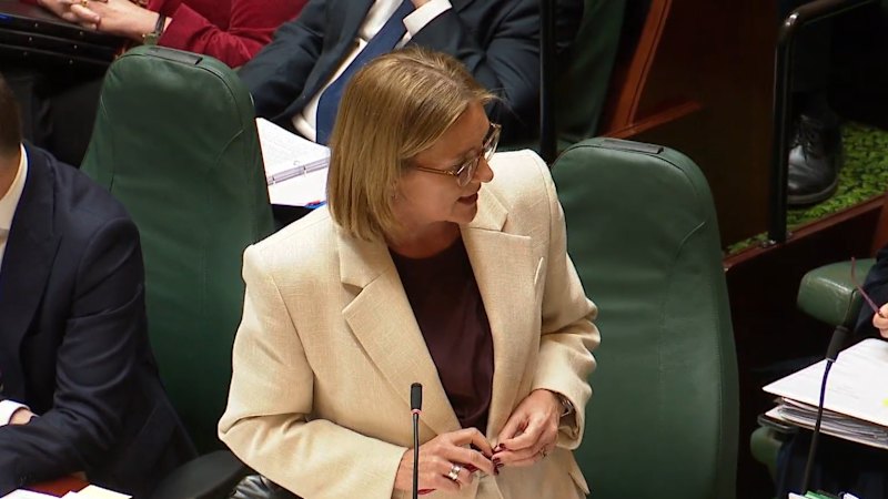 Jacinta Allan facing leadership challenge