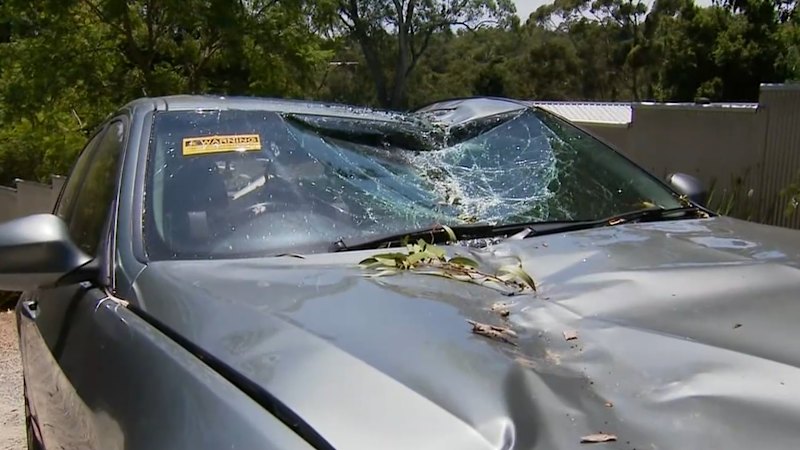 Powerful winds cause power outages across Adelaide.