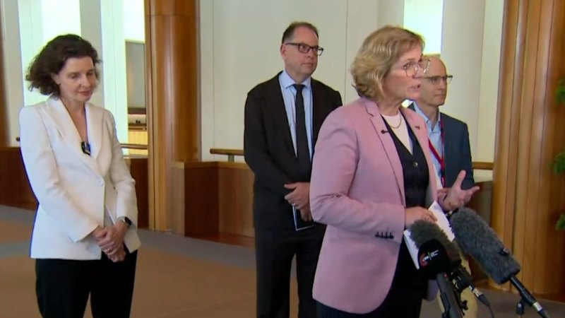 Teal independent MPs to form new political party