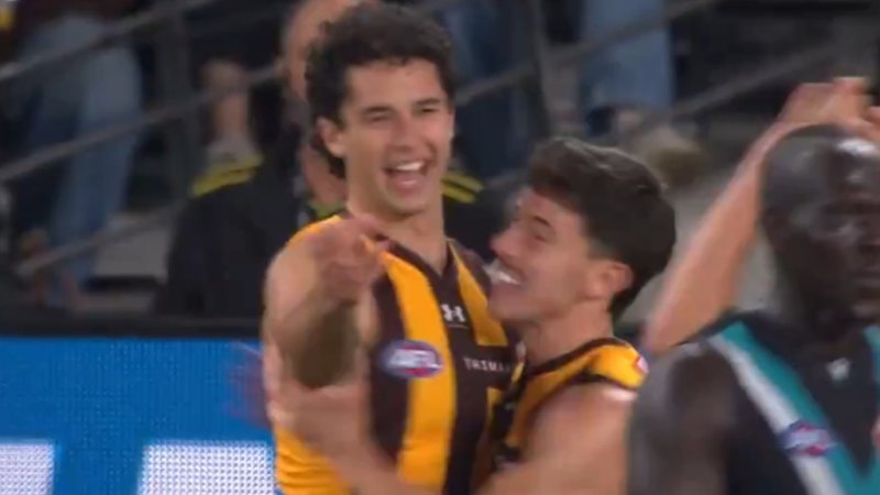 Hawks debutant kicks ripping goal in thriller