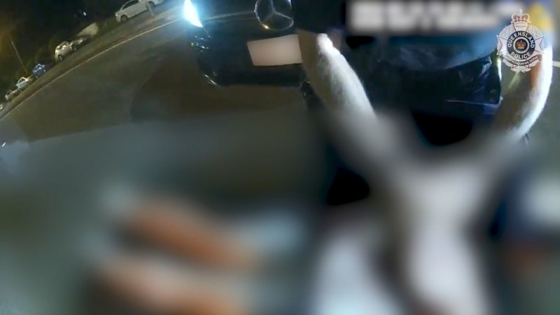 Boy charged over theft of luxury car with elderly dog inside