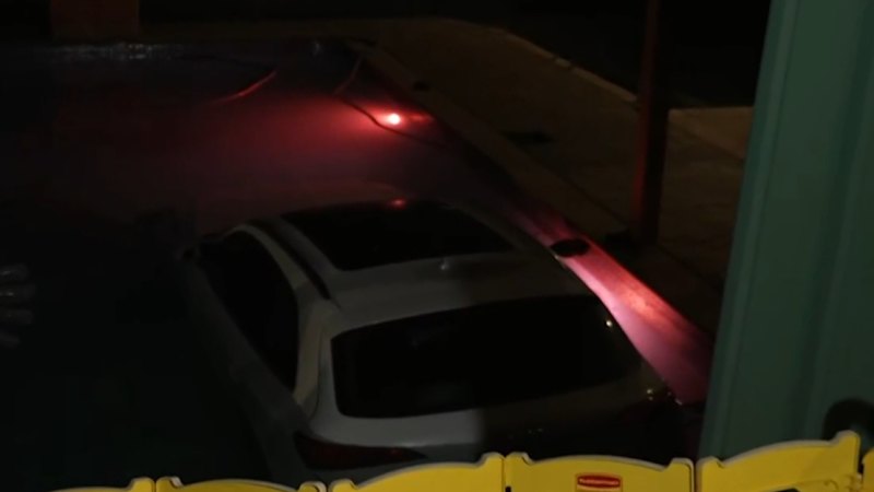 Car plunges into backyard pool in Sydney