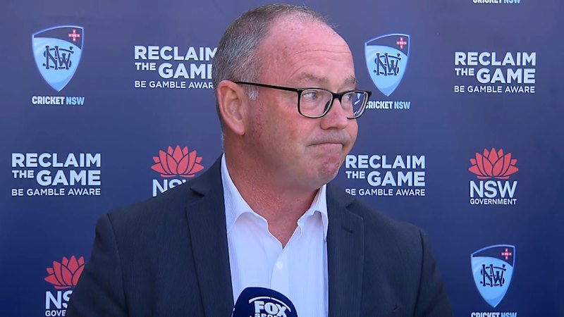 Cricket NSW boss grilled on Warner charges
