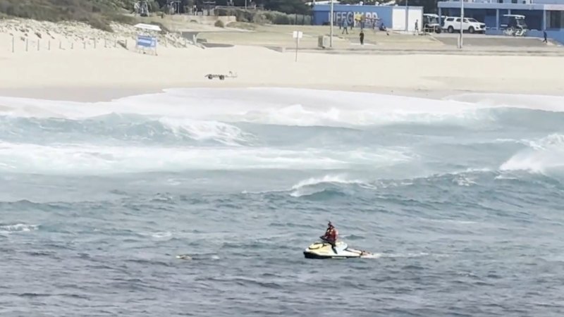 Search resumes for swimmer missing off Sydney beach