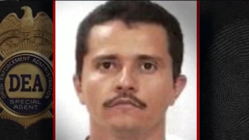 Top Mexican drug cartel leader killed