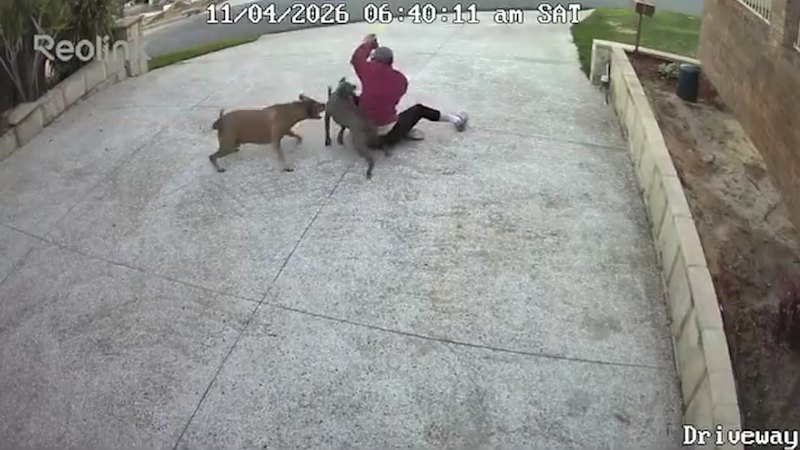 CCTV captures horrific Perth dog attack