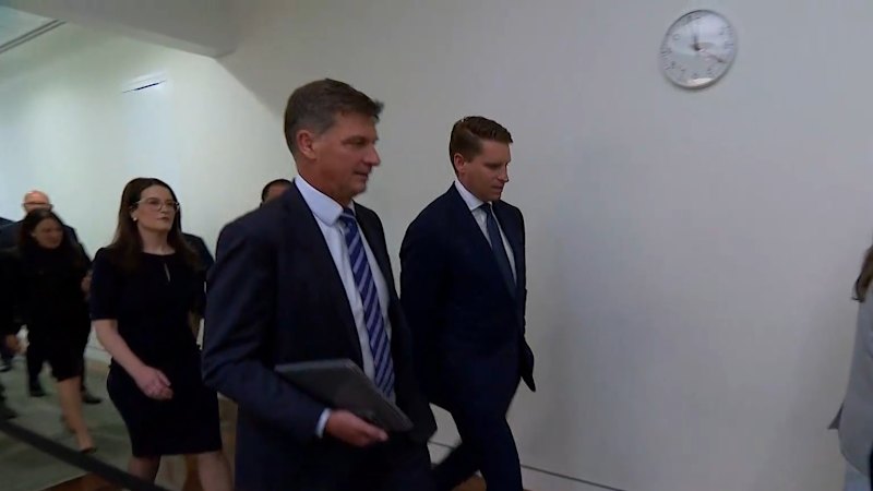 Sussan Ley puts on a brave face amid leadership rumblings