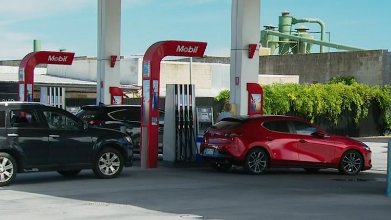 Fuel prices halt holiday traffic