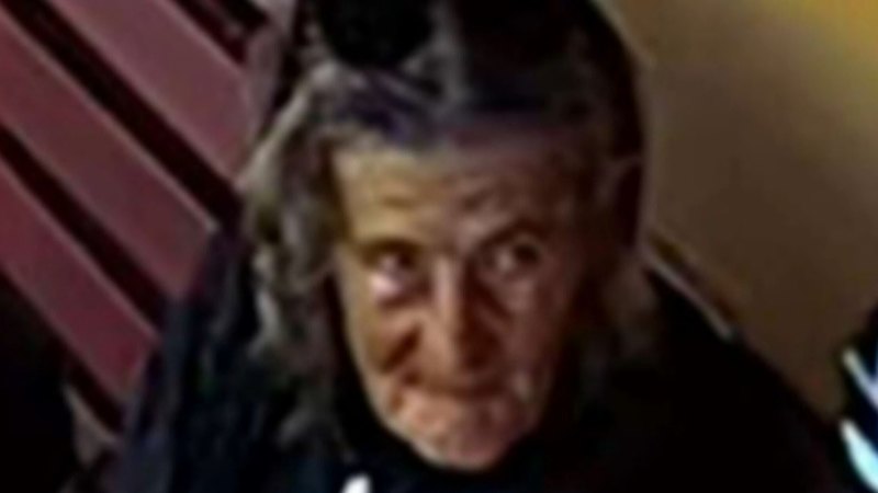 Major development in search for missing grandmother