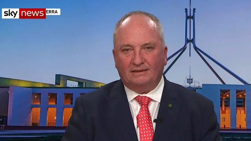 Pauline Hanson defends star recruit for blunder during live interview