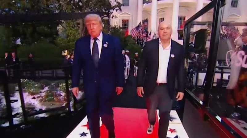 Plot targeting UFC White House event foiled