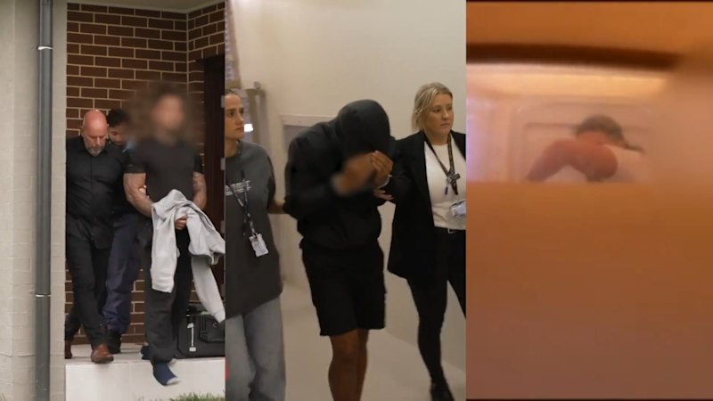 Five arrested after alleged assassination plot foiled