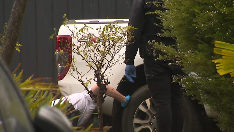 Drugs, peptides and weapons seized in police crackdown