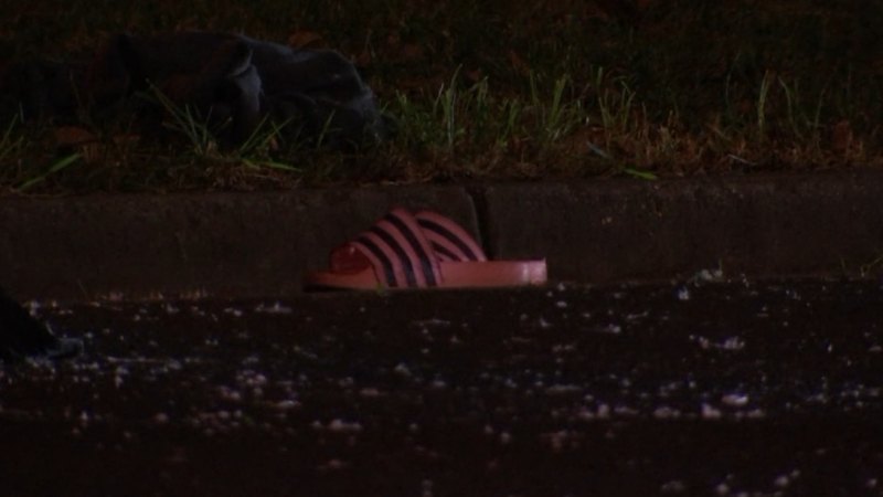 Woman fighting for life after Melbourne hit and run