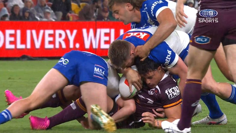 Dogs prop's crusher leads to report