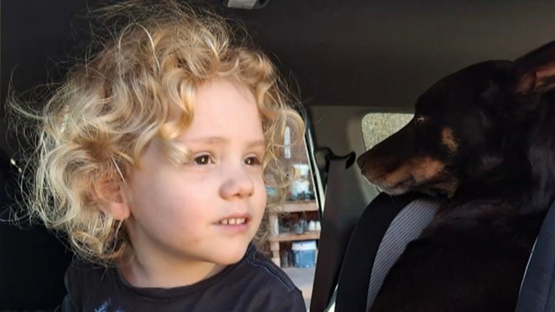 Parents of Gus Lamont speak publicly for the first time