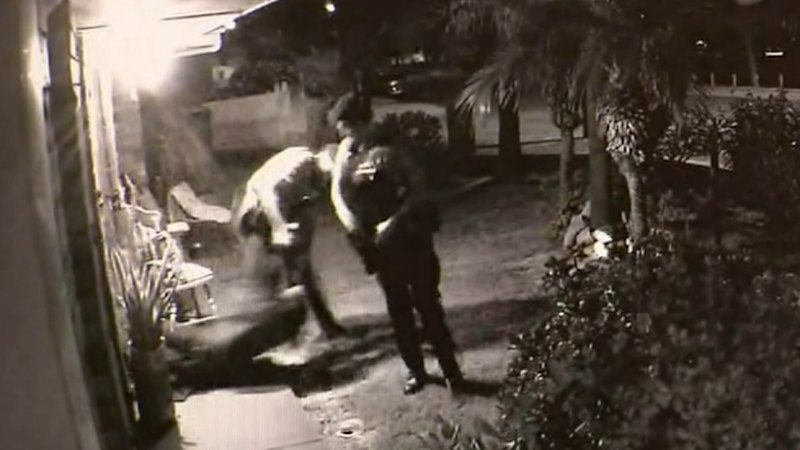 Man high on mushrooms and dressed as ninja when he attacked neighbours