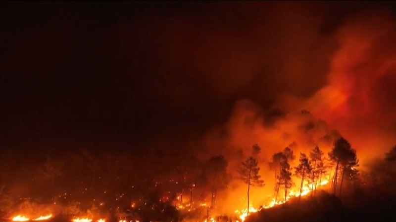 Wildfires tear across France