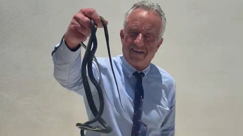 RFK Jr grabs snakes on Dr Oz's patio