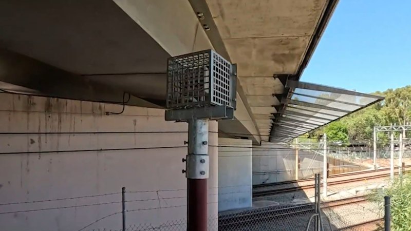 Perth council faces backlash for using high-pitched noise at homeless camp