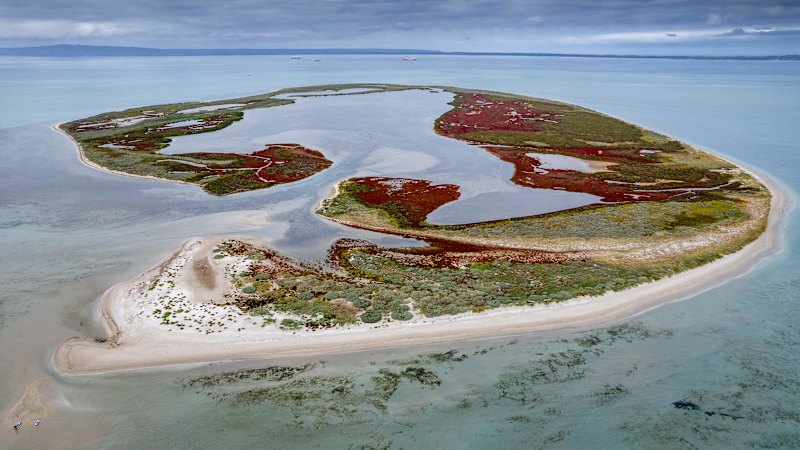 Mud Islands: the tourism destination with a completely undeserved reputation