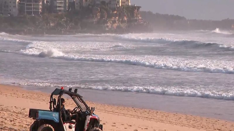 Sydney remains on alert for sharks