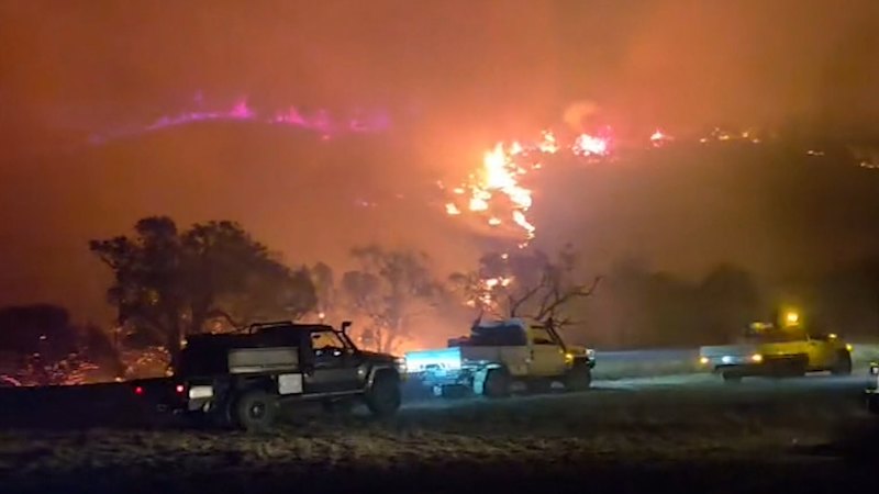 Temperatures soar to 50 degrees in parts of South Australia