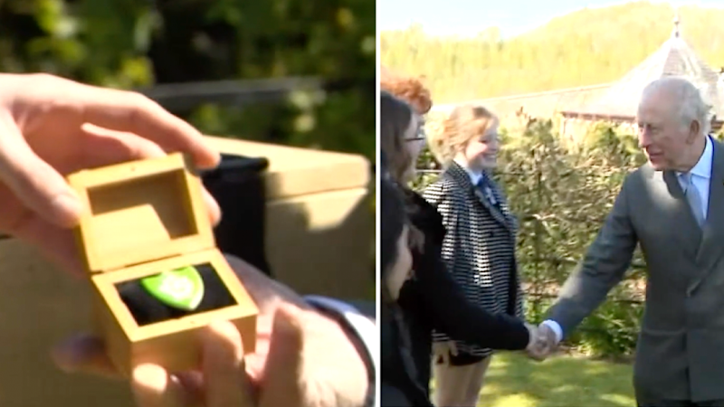 King Charles recognised for his commitment to the environment with prestigious award