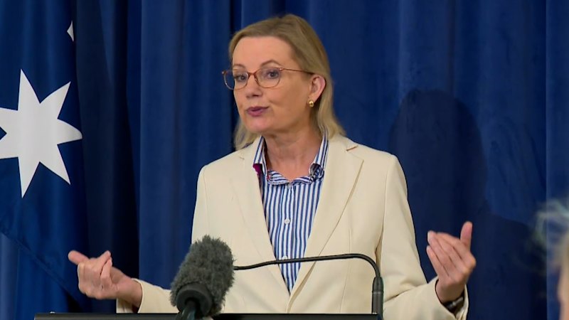 Sussan Ley faces leadership test