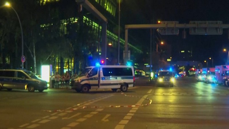 Berlin Pride attack suspect killed
