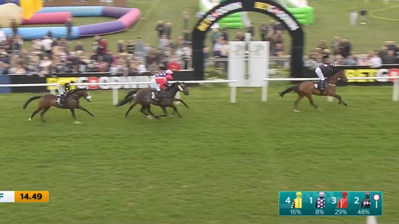 Jockey banned after mistaking winning post