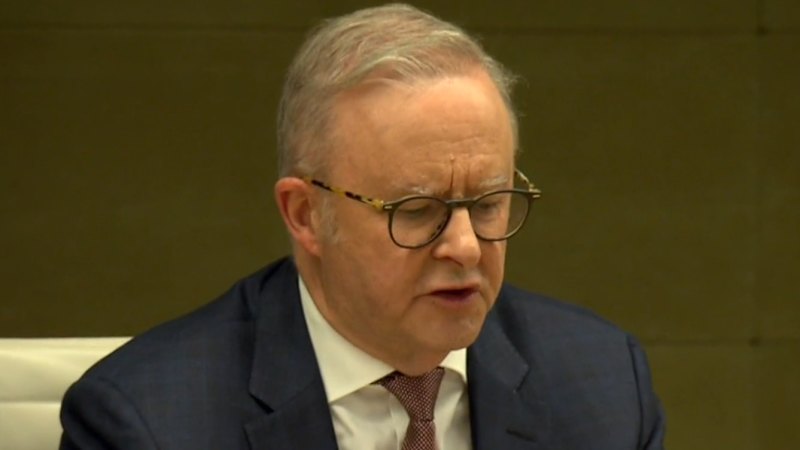 Albanese evacuated from The Lodge over safety threat