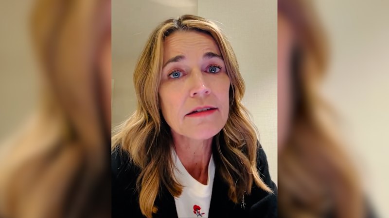 ‘Tell us where to look for her’: US TV show host issues emotional plea to mother’s kidnappers