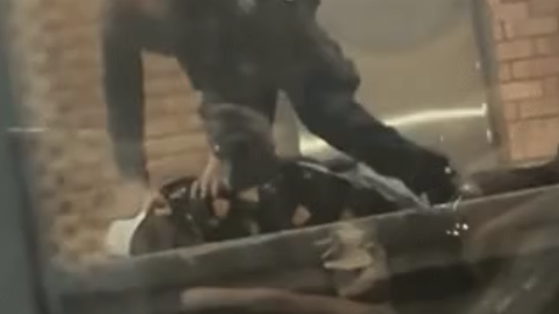 Police officer filmed punching man pinned to ground at Sydney train station