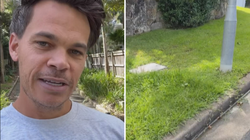 Neighbour lawn mowing battle