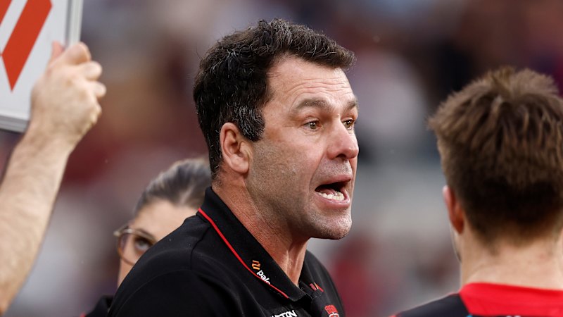 Essendon Bombers interim coach Dean Solomon has some words of warning ...