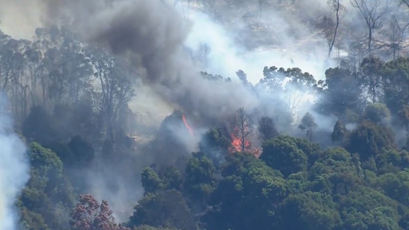 Extreme heat alert for Victoria
