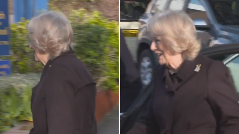 Queen Camilla questioned on Epstein