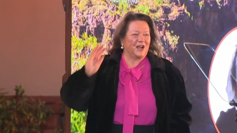 Rinehart could lose millions after legal blow