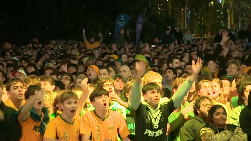 Arrests at World Cup viewing sites
