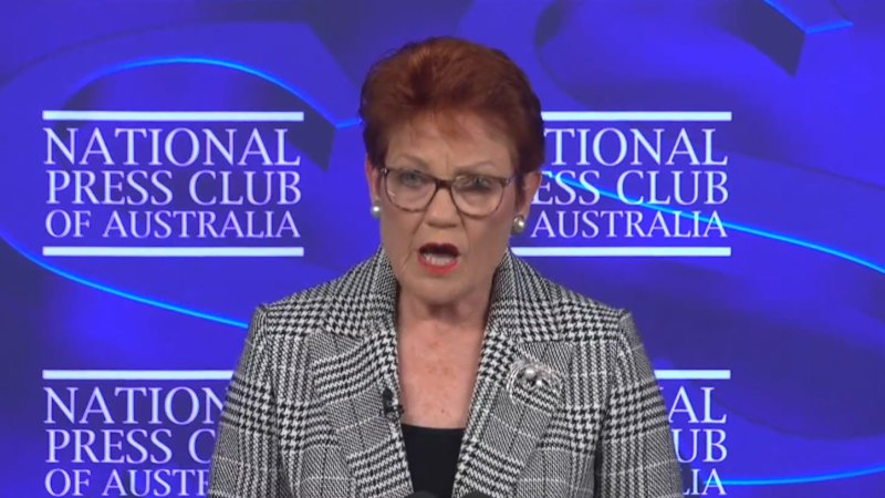 Pauline Hanson unleashes in Press Club address