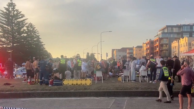 Bondi terror attack couldn't have been prevented, royal commission finds
