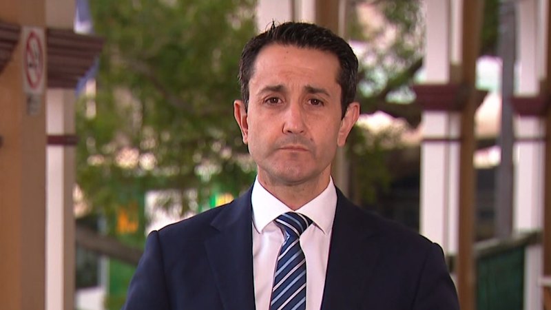 Queensland Premier David Crisafulli addresses affair involving cabinet ministers Tim Mander and Aman