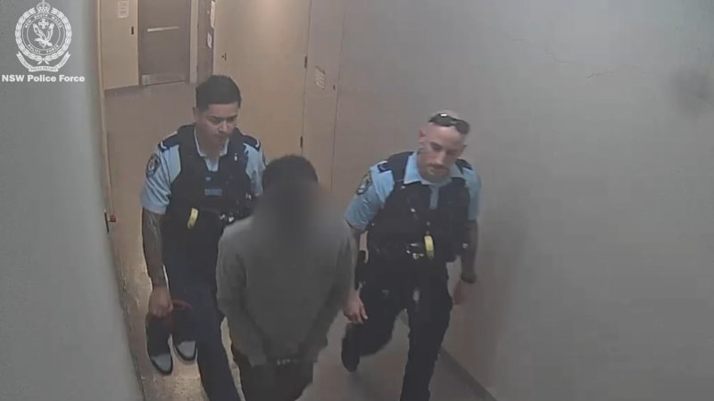 New details about immigration detainee’s alleged escape