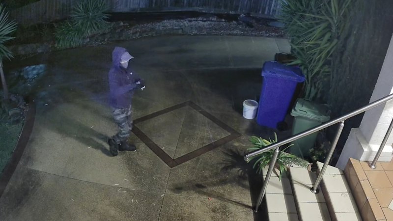 Court releases pictures of campaign against landlord, ex-housemates