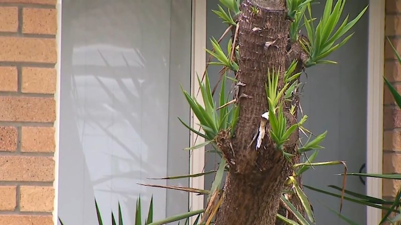 Woman charged with murder after girl found dead in home