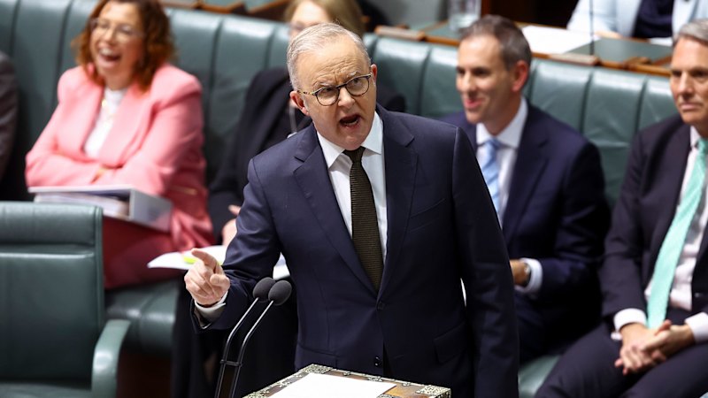 Albanese defends own use of housing tax breaks