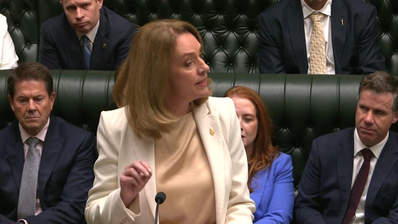 NSW opposition leader delivers budget reply