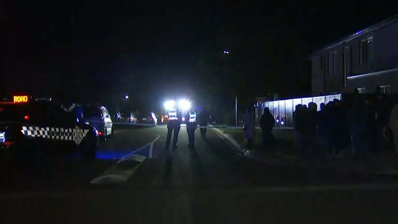 Boy dies after being hit by car driven by neighbour